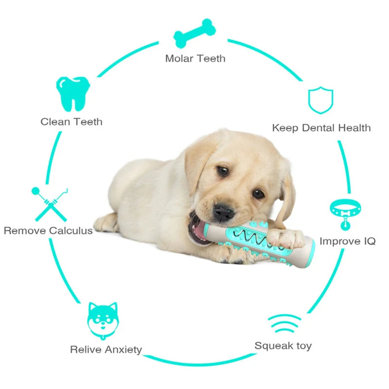 Dog Molar Toothbrush Toys Chew Cleaning Teeth Safe Puppy Dental Care Soft Pet Cleaning Toy Supplies - Roy Entreprise