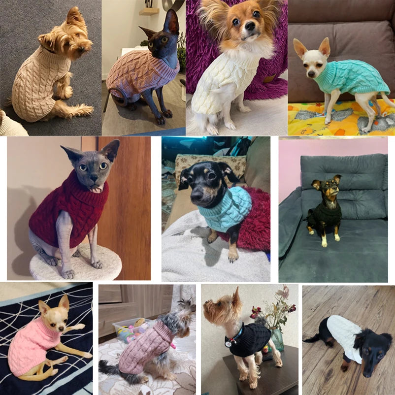 Puppy Dog Sweaters for Small Medium Dogs Cats Clothes Winter Warm Pet Turtleneck Chihuahua Vest Soft Yorkie Coat Teddy Jacket - Roy Entreprise