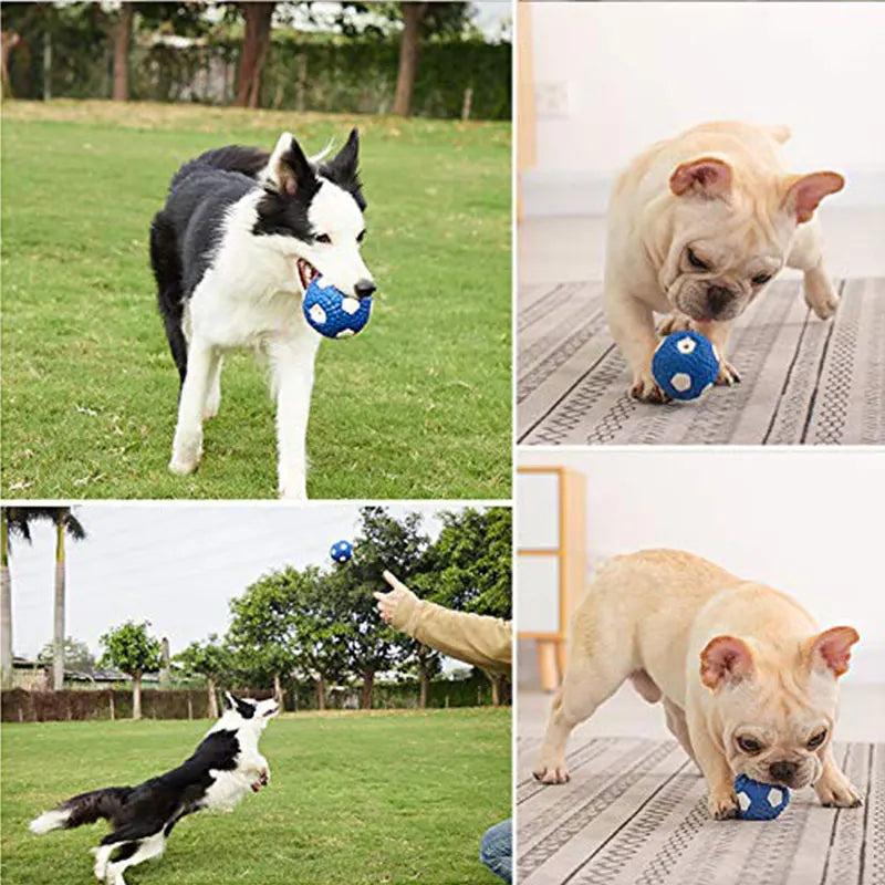 Pet Dog toy ball latex Durable Prevent damage Dog chew toy Squeak Chase Interesting Puppy toy Improve IQ Pet supplies - Roy Entreprise